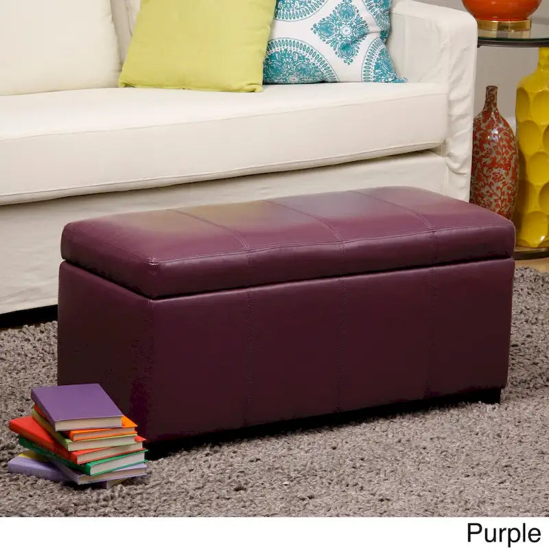 Panca Contenitore in Similpelle con Spazio Nascosto, 2 Posti (Marrone / Blu Scuro / Grigio / Viola)